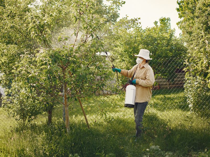 Técnico aplicando tratamiento fitosanitario en jardín de la Costa Blanca