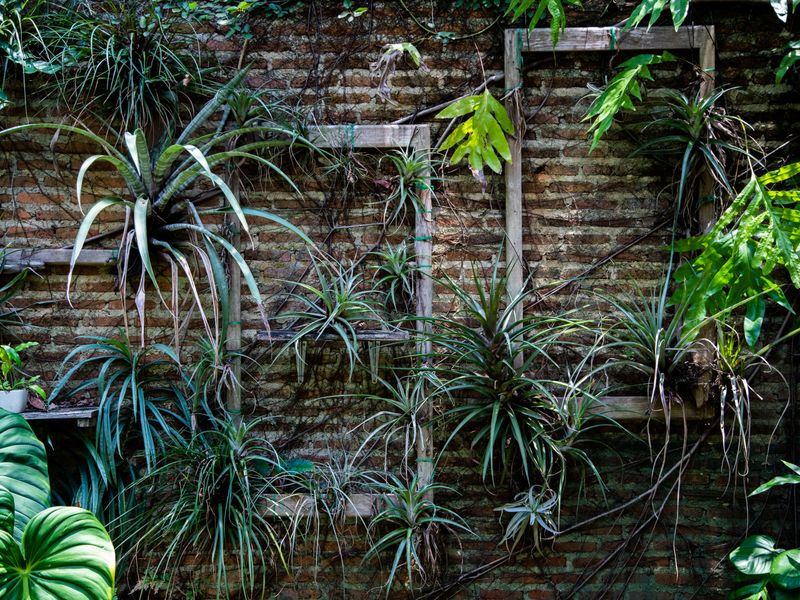 Muro verde instalado en terraza de villa en la Costa Blanca