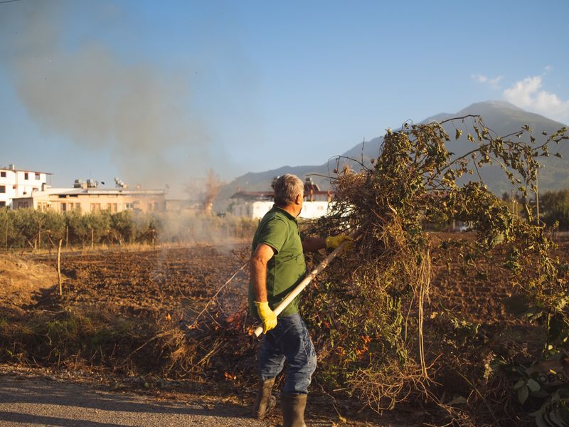 Limpieza de terreno rústico con vegetación espontánea en Alicante