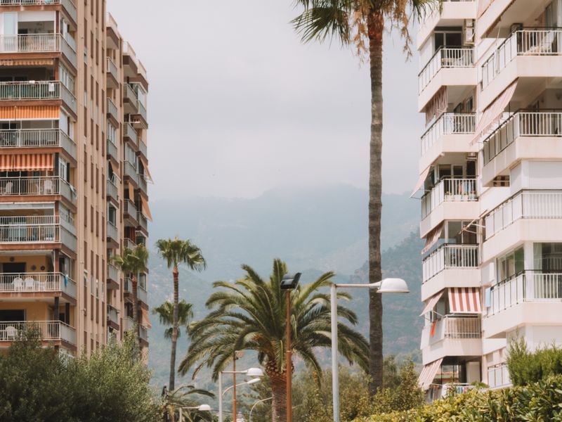 Jardines comunes de comunidad de propietarios en Torrevieja